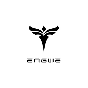 Engwe Coupon Codes